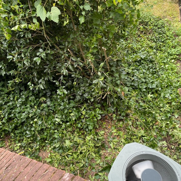 Lgsservices.org - Picture 14 of 16